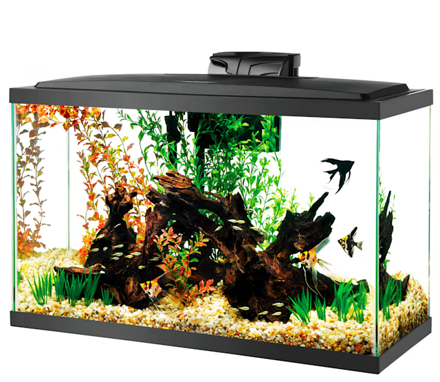 Aqueon LED 29-gallon Aquarium Kit